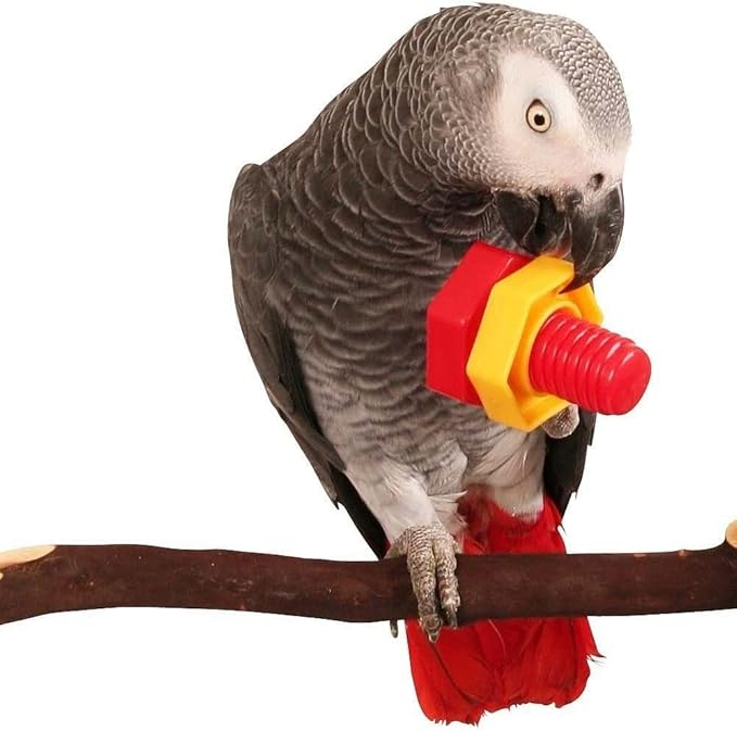 Litewoo 4pcs Bird Intellective Toys Nuts and Bolts for Parrot Parakeet Cockatiel Conure Macaw African Grey Amazon Cockatoo Budgie Lovebird Canary Cage Part