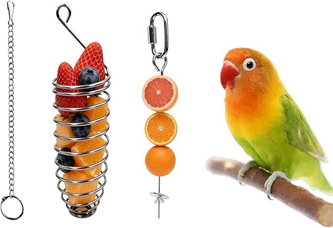 3-Piece Stainless Steel Bird Food Holder, Metal Parrot Foraging Toy, Hanging Fruit Vegetable Feeder Parakeet