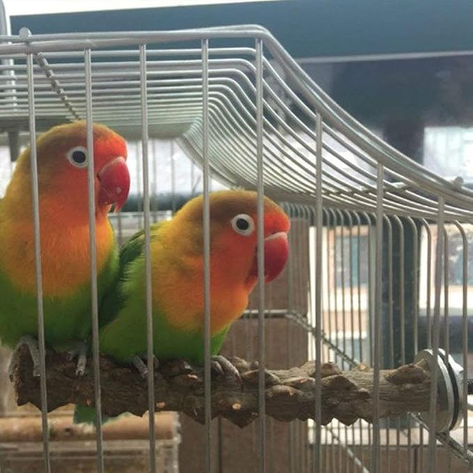 Hypeety Natural Prickly Ash Wood Perch Stand Toy Parrot Stand Holder Paw Grinding Perch Bird Chew Perch for Budgie Parakeet Cockatiel Conure Lovebird (11.79 inch)
