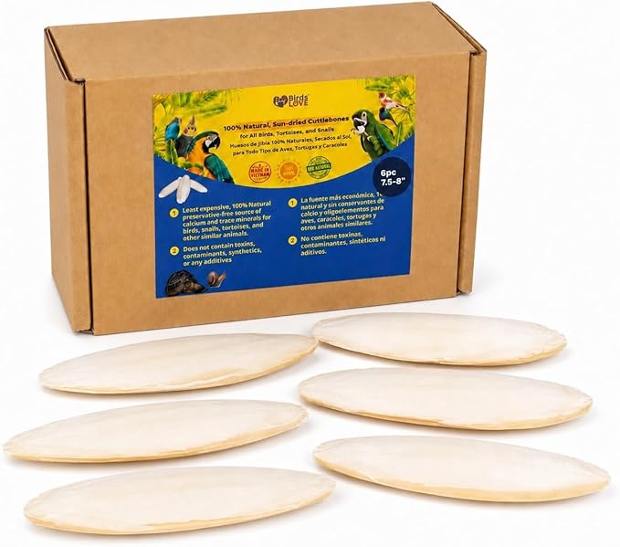 Birds LOVE 7.5-8" Cuttlebone for Birds – 100% Natural Sun-Dried Calcium Carbonate Mineral Supplement – for Parakeets, Budgies, Cockatiels, Finches & Canaries – 6 Pack with Holder – Made in Vietnam