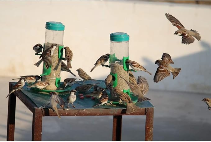 Amijivdaya Medium Bird Feeder Pack of 1
