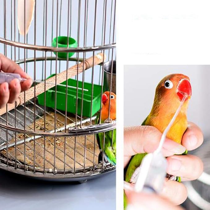Plastic Bird Feeder for Multiple Birds, Anti-Slip Tube, Hand Feeding Tool, Temperature Resistant, Durable, No Rust