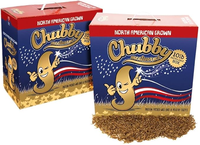 Chubby North American Grown Dried Mealworms | 20 lbs | Non-GMO High-Protein Treats for Chickens, Ducks & Wild Birds – Sustainable Chicken Feed