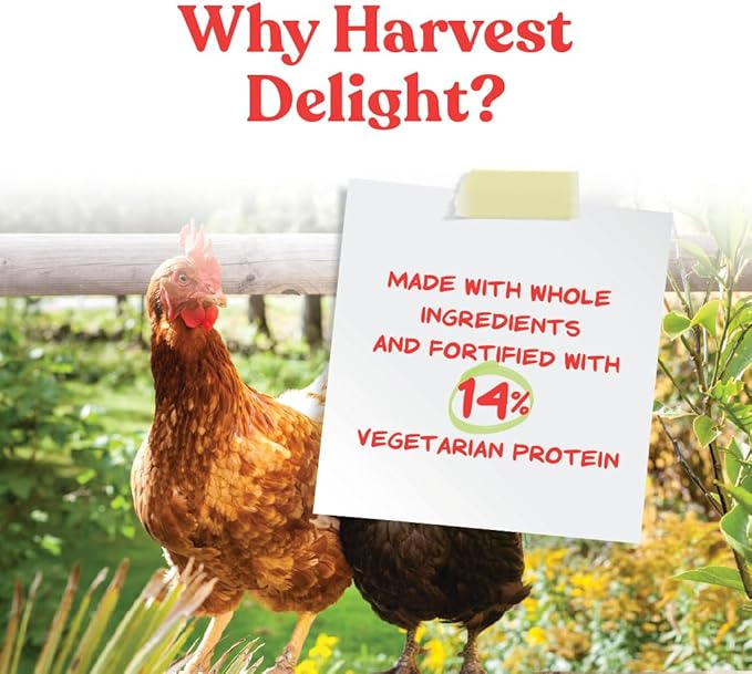 Manna Pro Harvest Delight Poultry Treat, Whole Grain & Seed Mix with Fruits & Vegetables, 14% Protein Snack for Chickens, Ducks & Mixed Flocks, 2.25 lb