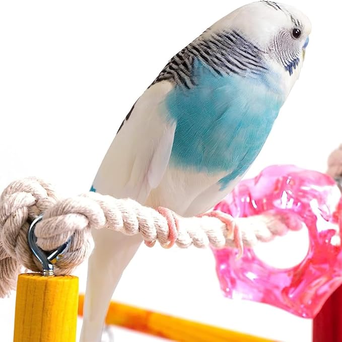 Penn-Plax Bird Life Wooden Playpen – Perfect for Parakeets, Lovebirds, Parrotlets, Cockatiels, and Green Cheek Conures – Medium