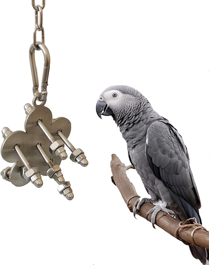 JSLZF Stainless Steel Parrot Toy, Hanging African Grey Chew Toy for Bird, Non-Removable Cap Nuts Foraging Bird Toy for Conure, Cockatiel, Parakeet, Cockatoo, African Grey
