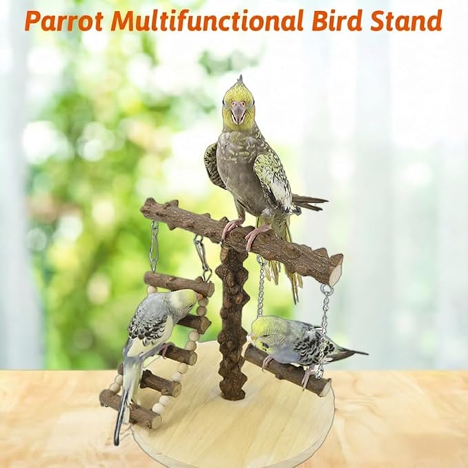 Natural Wood Parrot Play Stand, Bird Gym with Ladder and Swing, Training Station, Climbing Playground for Budgies, Cockatiels, Lovebirds,Conures Small to Medium Birds
