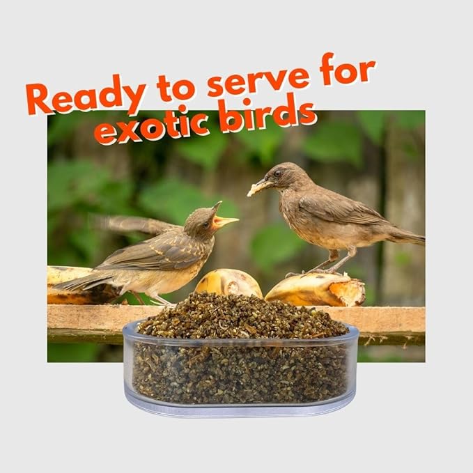 RAFF Realpasto Insect Bird Food Diet 5Lb - High-Protein for Worm-eating Bird Feed and Aviary Food Mix for All Insectivorous Species - Supports Plumage Color and Stimulates Singing Naturally