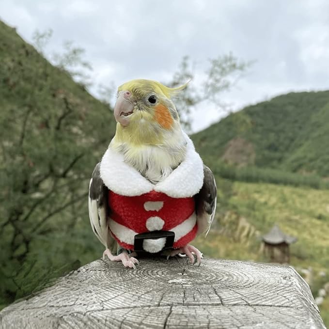 Bird Clothes Birds Flight Suit, Christmas Hoodie for Parrots Cockatiel Sun Conure Christmas Party Cosplay Photo Prop Bird Shirt Small Animals Apparel (B,Cockatoo)