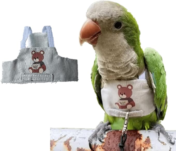 Bird Flight Harness Vest, Parrot Flight Suit with Leash for Parakeets Cockatiels, Bird Flying Clothes with Rope and Handle for Outdoor Activities Training (Bear Without Leash,Large)
