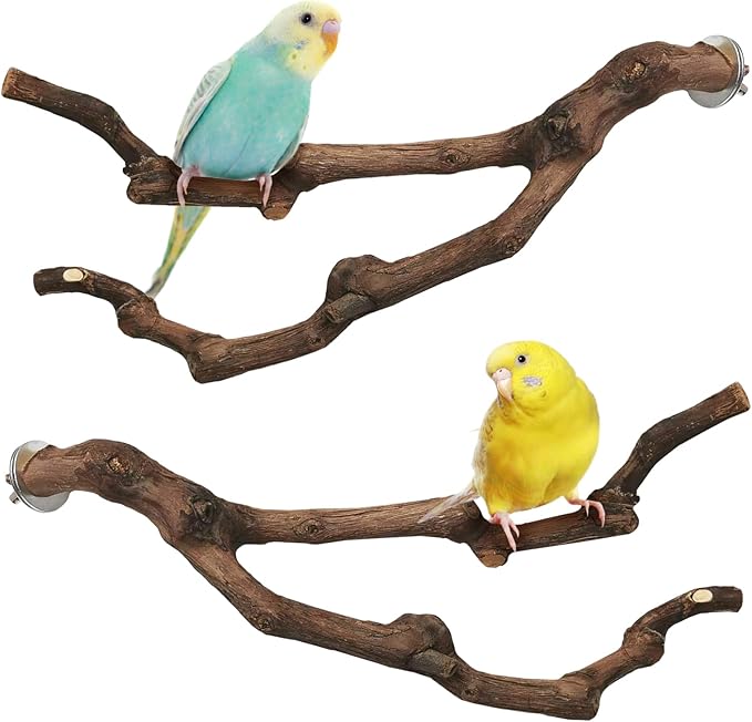 PINVNBY Natural Parrot Perch Grape Wood Bird Stand Pole Parakeet Paw Grinding Fork Chewable Climbing Branches Toy Bird Cage Accessories for Budgies Conures Cockatiels Lovebirds (2 PCS, 11.8IN)
