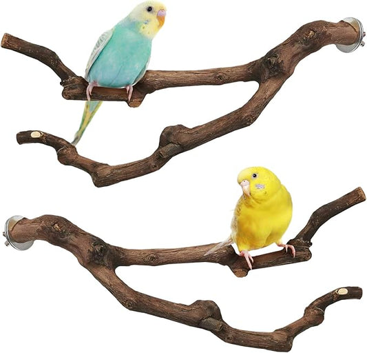 PINVNBY Natural Parrot Perch Grape Wood Bird Stand Pole Parakeet Paw Grinding Fork Chewable Climbing Branches Toy Bird Cage Accessories for Budgies Conures Cockatiels Lovebirds (2 PCS, 11.8IN)