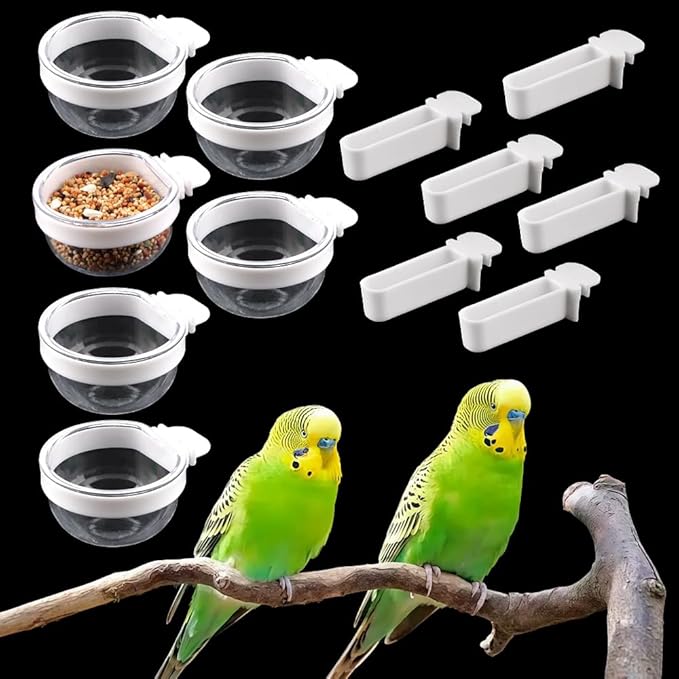 6 Pcs Small Bird Detachable Transparent Bowl Parrot Plastic Food Cup Canary Finch Convenient Hanging Seed Water Feeder (with 6 pcs Small Food Cups)