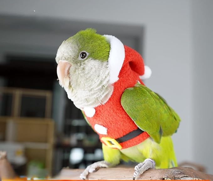Bird Clothes Birds Flight Suit, Christmas Hoodie for Parrots Cockatiel Sun Conure Christmas Party Cosplay Photo Prop Bird Shirt Small Animals Apparel (with Diaper,Crested Myna)
