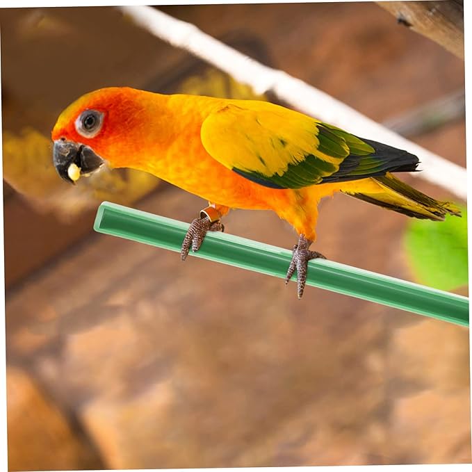 Bird Cage Stand Plastic Bird Perch- 10Pcs Cage Universal Plastic Stand Perches, Canary Finch Budgie Universal Standing Stick Parrot Standing Rods Budgie Perches
