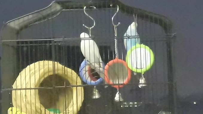 Litewoo 3-Piece Parrot Mirror Toys with Bell Pendant Toy for Bird Parakeet Cockatiel Budgie Conure（Round）