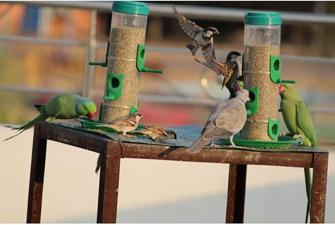 Bird Feeder for Bird Food Large 2 Piece_Green
