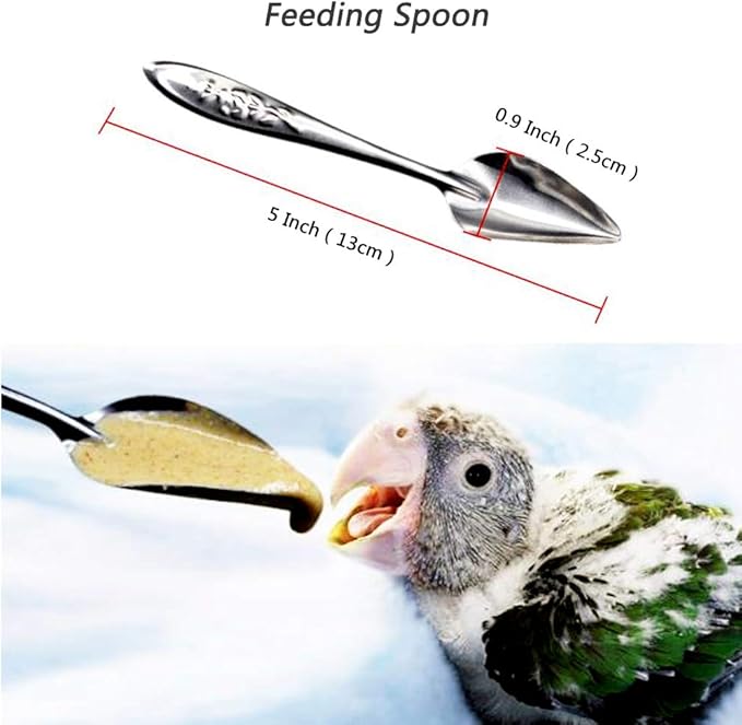 Plastic Bird Feeder for Multiple Birds, Anti-Slip Tube, Hand Feeding Tool, Temperature Resistant, Durable, No Rust