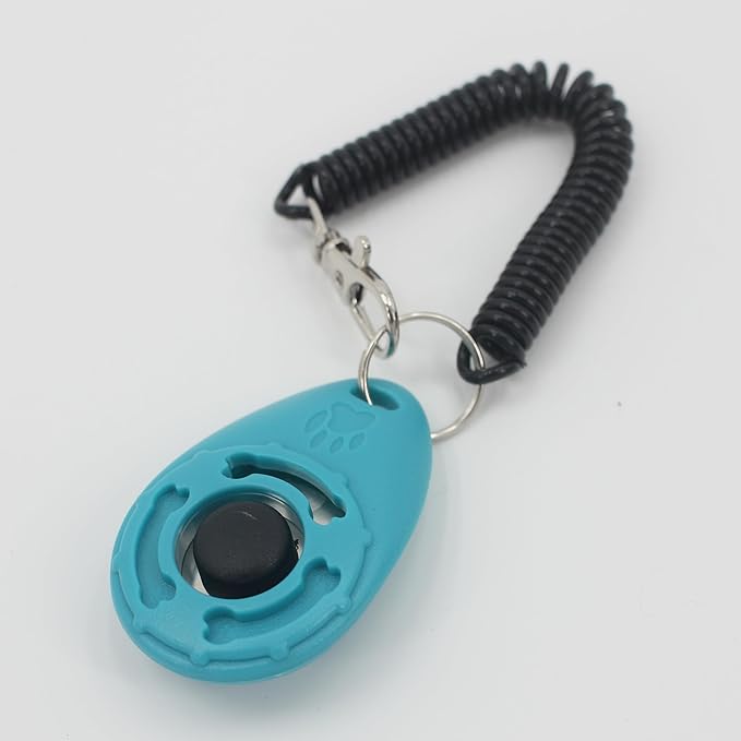 Fosrion Stainless Steel Parrot Ring Toss Toy, Interactive Training & Enrichment Toy for Parrots – Bite-Proof, Anxiety Relief, Exercise Fun for All Kinds of Parrot (Large Toy + Clicker)