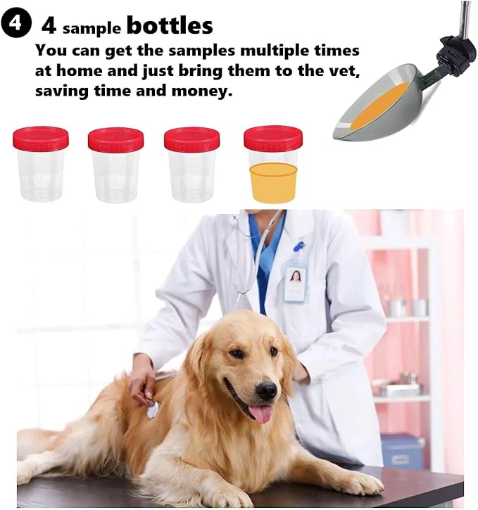 Dog Urine Sample Catcher，Telescopic Dog Pee Sample Collector，Pet Urine Stick for Small Large Female Dogs (Grayspoon&4bottles)