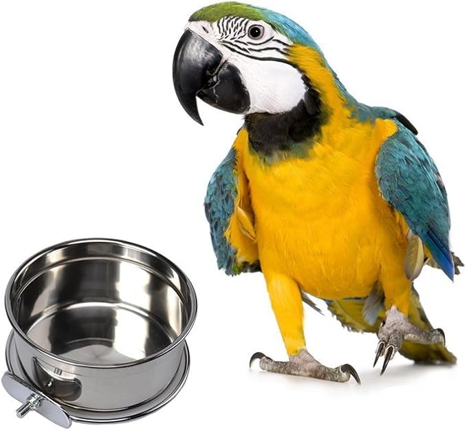 Mrli Pet Food & Water Bird Cup with Clamp Holder Stainless Steel Coop Cup Feeding Dish Feeder for All Bird Small Animal and Puppy Dog Cages 20 Oz