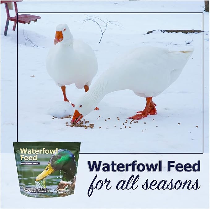 Natural Waterscapes Waterfowl Feed (5 lb) Floating Duck Food | for Wild Ducks, Pet Ducks, Geese, Swans