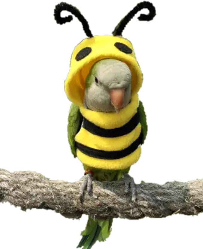 Bird Bee Shape Cosplay Photo Prop for Parrots Lovebird Budgie Parakeet Cockatiel Sun Conure, Small Animals Apparel (X-Large)