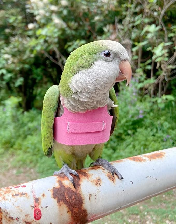 Bird Flight Harness Vest, Parrot Flight Suit with Leash for Parakeets Cockatiels Conures Budgies, Bird Flying Clothes with Rope and Handle for Outdoor Activities Training (XL,Pink)