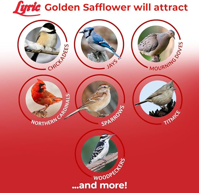 Lyric Golden Safflower Bird Seed for Outside Feeders - Attracts Cardinals, Chickadees, Woodpeckers & More, 5 lb Bag