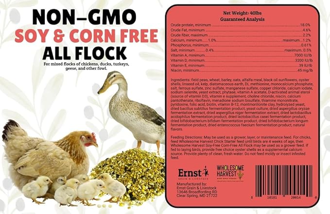 Non-GMO Soy-Free All Flock Feed Whole Grain 40 lbs for Duck, Turkey, Geese and Chicken Feed