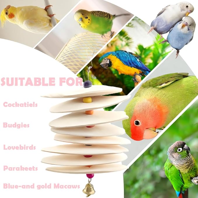 DQITJ 2 Pack Bird Cuttlebone Calcium Supplement Chewing Toy Beak Grinding Stone Natural Bird Toy with Bell for Parakeet Cockatiel Budgie Conure Sharp Beaks (8 Pcs in a Bunch)