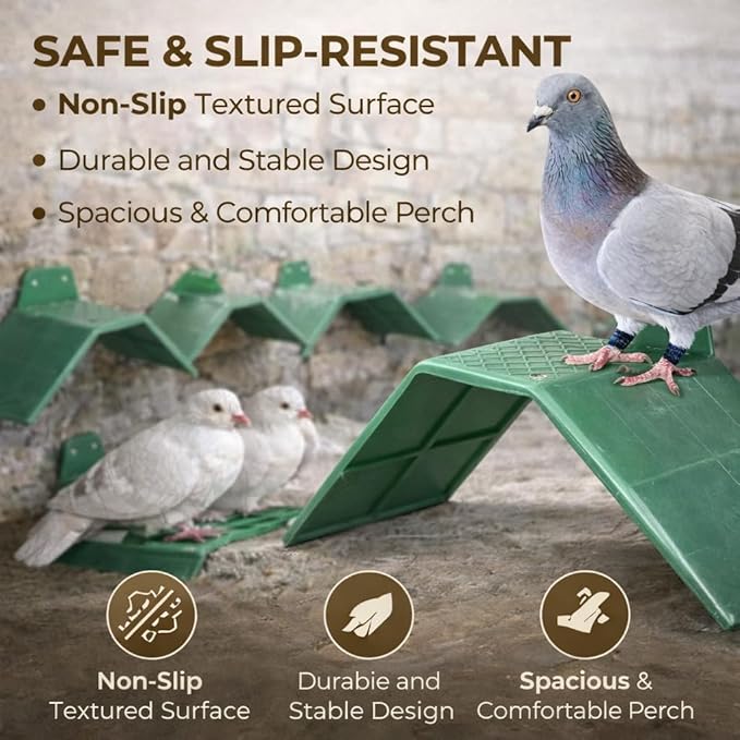 plplaaoo 10PCS Plastic Dove Rest Stand – Anti Skid & Heat Resistant Pigeon Perch for Racing Birds – Green Roost Holder for Bird Cages, Doves, and Parrots