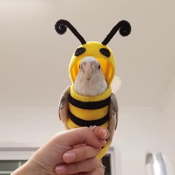 Bird Costume Diaper Flight Suit Bee Shape Hoodie Clothes Cosplay Photo Prop for Parrots Parakeet Cockatiel Sun Conure, Small Animals Apparel (Bee with Diaper, X-Large), Green (BPF1)