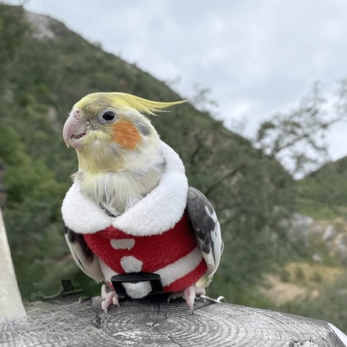 Bird Clothes Birds Flight Suit, Christmas Hoodie for Parrots Cockatiel Sun Conure Christmas Party Cosplay Photo Prop Bird Shirt Small Animals Apparel (B,Sun Conure)
