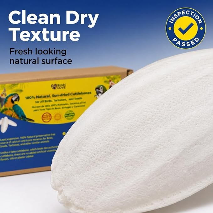 Birds LOVE 3.5-4″ Cuttlebone for Birds – 100% Natural Sun-Dried Calcium & Beak Conditioning Supplement for Parakeets, Budgies, Cockatiels, Finches & Canaries – 2 Pack with Holder – Made in Vietnam