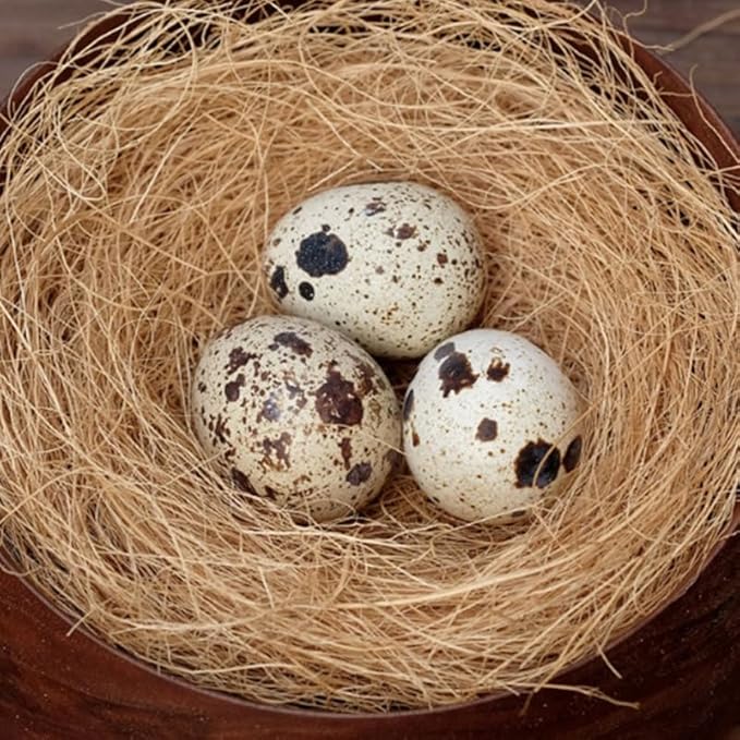 Coconut Fiber Bird Nesting Pad 7.08X4.72X1.96In Soft Breathable Palm Fiber Bedding for Parakeets Finches Small Pets Scratch Resistant Bird Cage Nest Material
