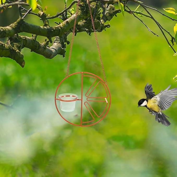 BESPORTBLE 2Pcs Glass Hummingbird Feeder Cups Replacement - Outdoor Hanging Bird Feeder Bowls for Garden Patio Balcony - Durable Glass Bird Accessories