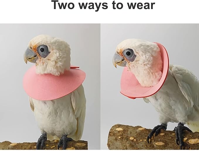 Pet Parrot Anti-bite Elizabethan Collars, Anti-Grab Feather Plucking Wound Healing Safety Collar, Protective Recovery Cones for Budgerigar Lovebird Cockatiel Cockatoo (X-Small)