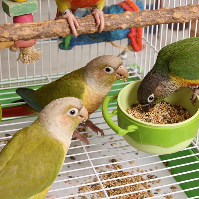 2 Pack Bird Cage Feeder Plastic Feeding Dish Detachable Components for Bird Parrot Parakeet African Grey Conure Cockatiel Lovebird (Green and Yellow)