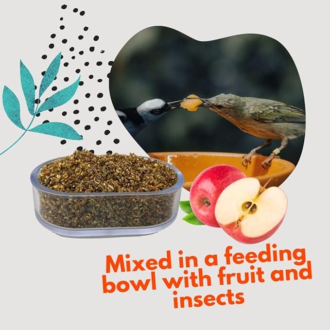 RAFF Realpasto Insect Bird Food Diet 5Lb - High-Protein for Worm-eating Bird Feed and Aviary Food Mix for All Insectivorous Species - Supports Plumage Color and Stimulates Singing Naturally