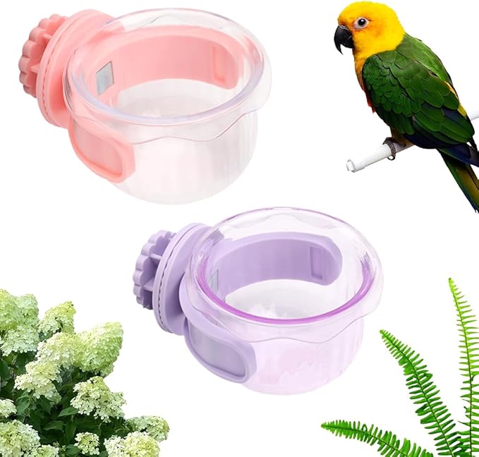 2 Pack Bird Feeding Dish Cup Water Bowl Cage Feeder Accessories for Canary Finch Parakeet Budgie Cockatiel Lovebird