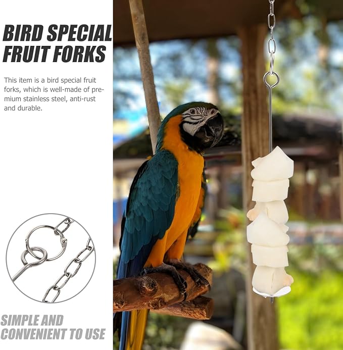 2pcs Stainless Steel Bird Fruit Forks for Parrot and Finch, Large Size Food Stick Holders for Cage Feeding, Sturdy Silver Metal Feeder Tools for Pet Birds