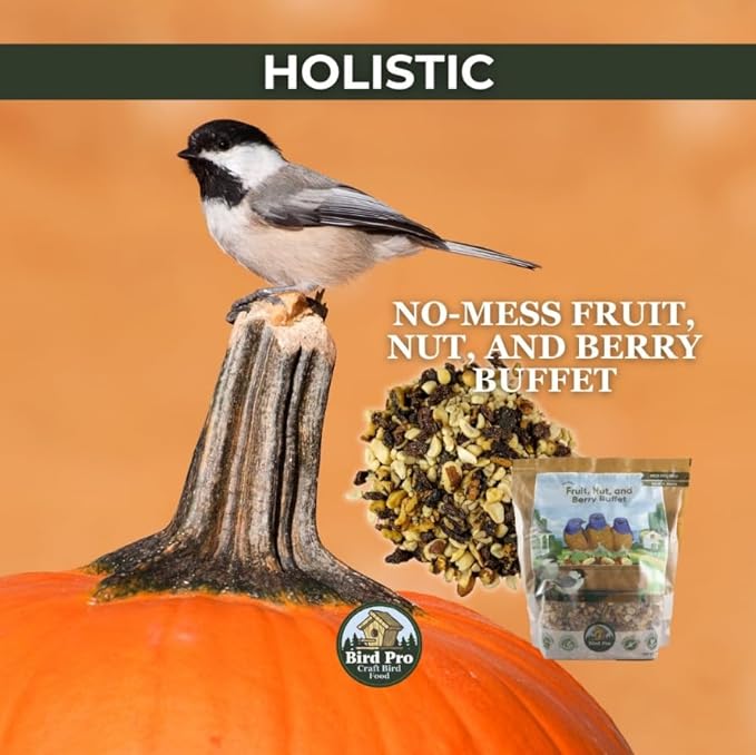 Bird Pro Holistic Bird Seed - Premium Seed for Backyard Feeding (5 Pounds, No Mess Fruit, Nut, & Berry Buffet)