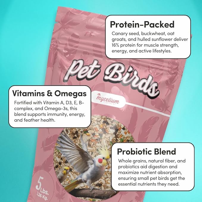 Mycelium Small Pet Bird Plus | Bird Seed for Cockatiels, Parrots, Lovebirds | Organic Mix with Vitamins, Egg, Oyster Shell, Pumpkin & Safflower | Supports Digestion & Feather Health | 5 lb Bag