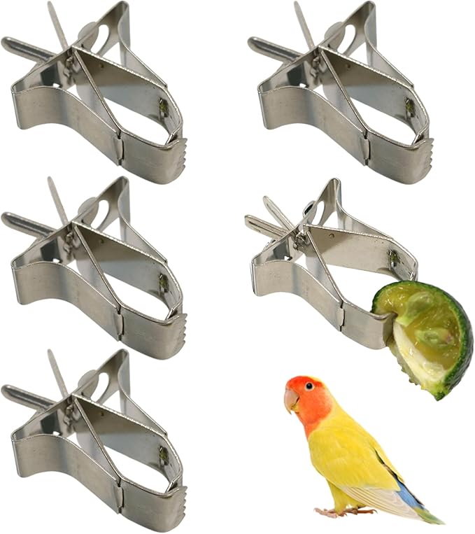 5Pcs Bird Food Holder, Cage Mount Fruit Bird Feeder Stainless Steel Clip Style for Parakeet Budgie Macaw