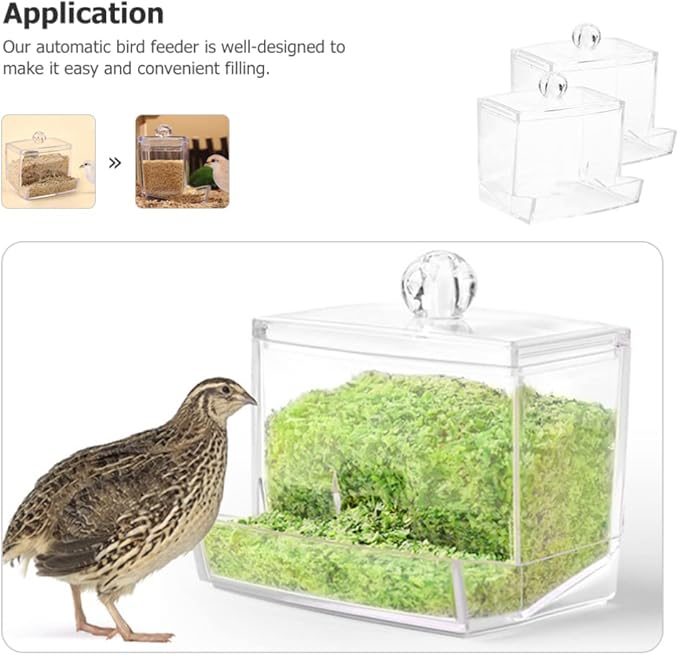POPETPOP Bird Feeder for Multiple Pets, Transparent Design, 150 oz Capacity