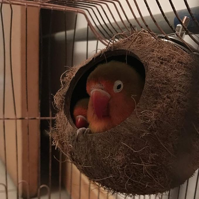 YJJKJ Pet Bird Natural Coconut Shell Bird House Parakeet Budgie Cockatiel Finch Sparrows Breeding Nesting Bird Aviary Cage Box Anti-Pecking Bite (Diameter:4.3")