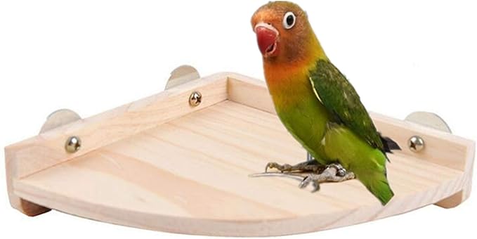 Birds pet Parrot Rat Small Animals Perch Platform Stand Wood cage Accessories Supplier S