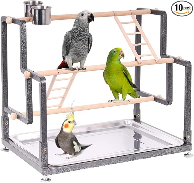 Bird Playground, Playstand for Small to Large Birds with Collapsible Metal Frame, Heavy Duty Quick-Install No Tool Request, 4 Standing Perch, 2 ladders and 2 Bird Cups