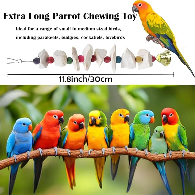 2 Pack Bird Toys with Cuttlebone,Chewing Bird Toy for Parakeet, Bird Beak Grinding Stone,Natural Birds Calcium,Cage Accessories for Parakeets,Cockatiels, Lovebirds, Small to Medium Birds
